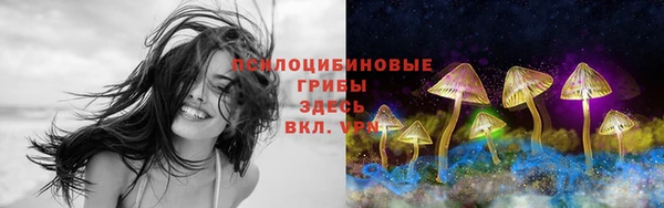 дживик Бугульма