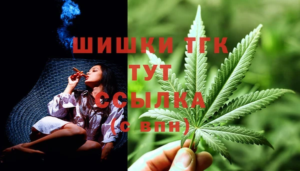 COCAINE Богородицк