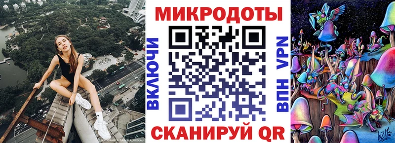 Псилоцибиновые грибы Psilocybe  Городовиковск 